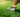 maintenance of artificial turf for gyms