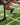 Gym turf