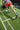 Sports turfs heroturfs for sleds push