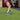 Green Gym Turf – Elysium Solids